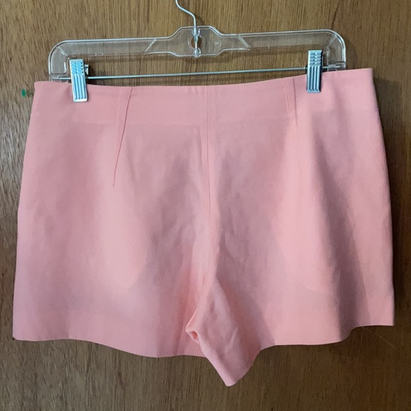 🔥CLEARANCE🔥 Theory "AIFRIC" Dress Shorts - Picture 7 of 8